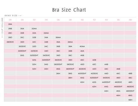 wings love bra|wingslove bra size chart.